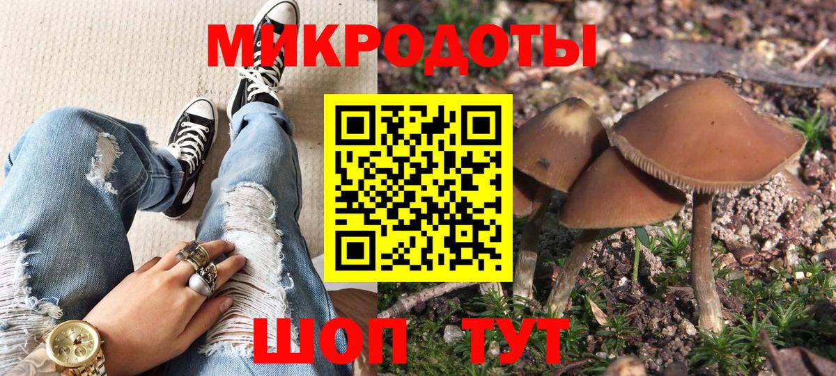 Галлюциногенные грибы мухоморы Верхняя Пышма