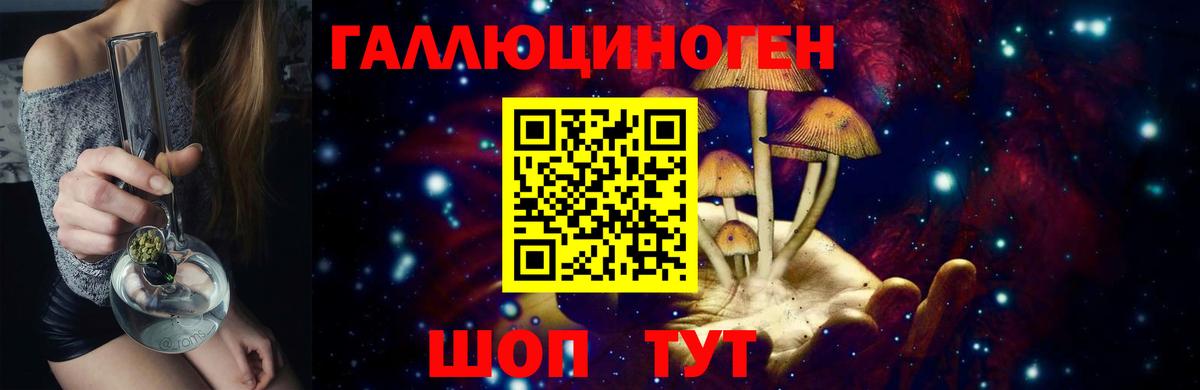 купить наркотики цена  Вход с VPN  Верхняя Пышма  Псилоцибиновые грибы Cubensis 